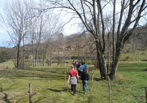 Des balades et randonnées